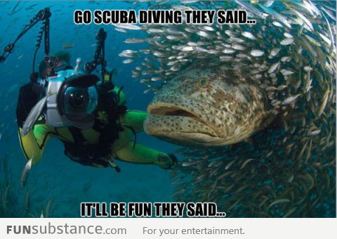 Go diving they said