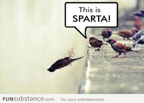 This is sparta!