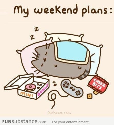 My weekend plans