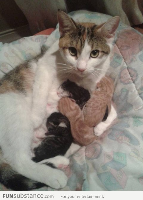 A new mother