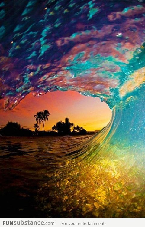 The Great Waves of Hawaii
