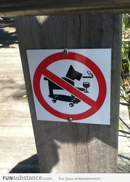 No smoking, drinking, skateboarding dogs please