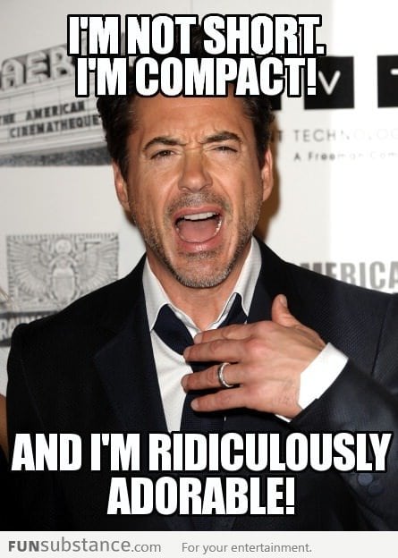 I'm just like Robert Downey Jr