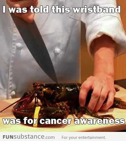 poor lobster didn't know what was coming for him