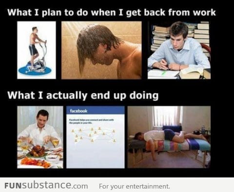 What I plan to do after School / Work