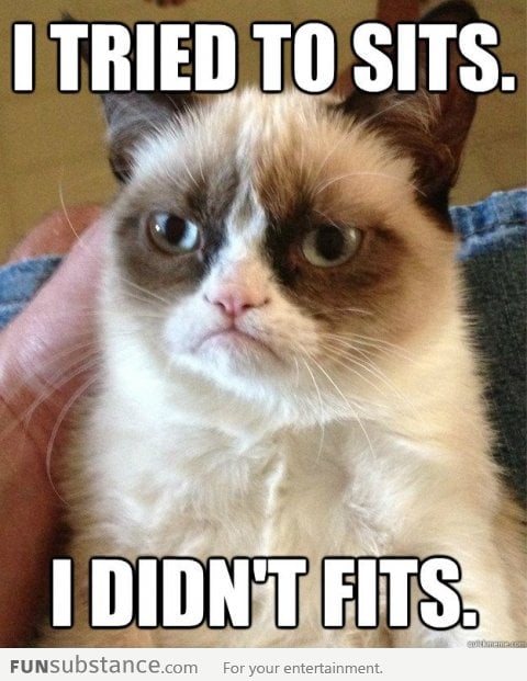 Why Grumpy Cat is grumpy