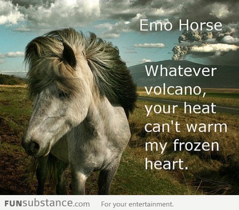 Emo Horse