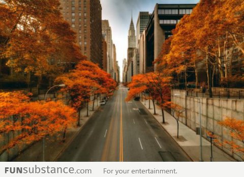 Autumn in New York City