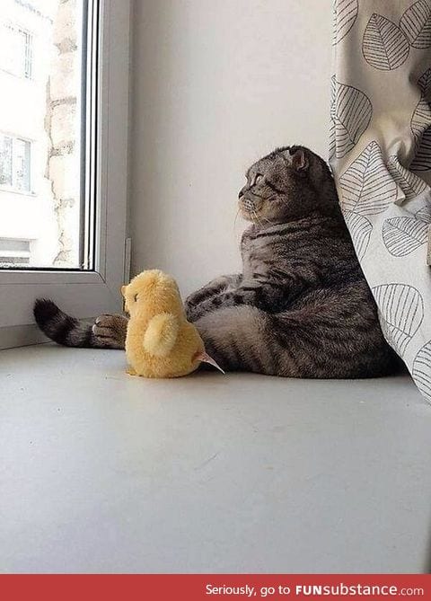 It's a big world out there ducky