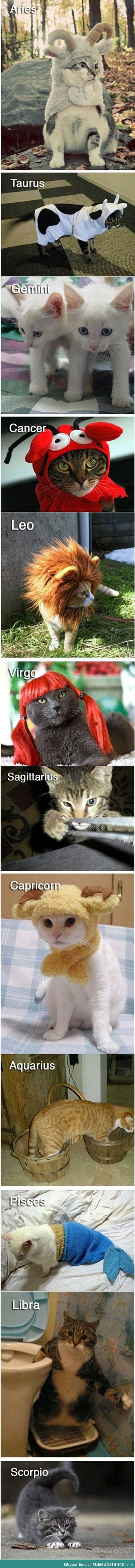 Cats of the Zodiac