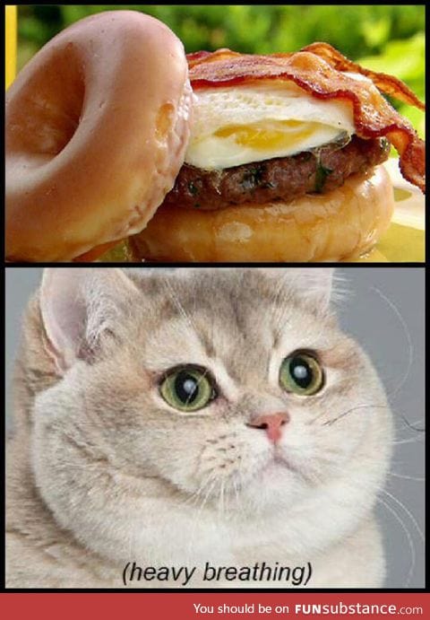 Donut bacon burger