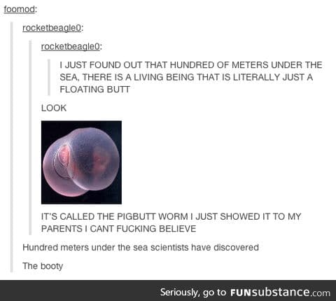 A science lesson from tumblr