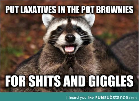 Evil pun coon