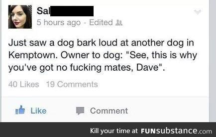 Get your shit together, Dave