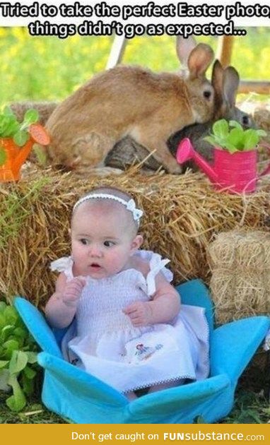 Perfect Easter photo