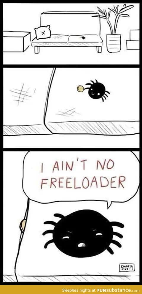 Good guy spider