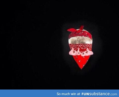 Great view of the blood moon