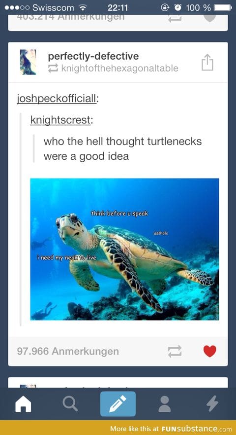 Turtle neck