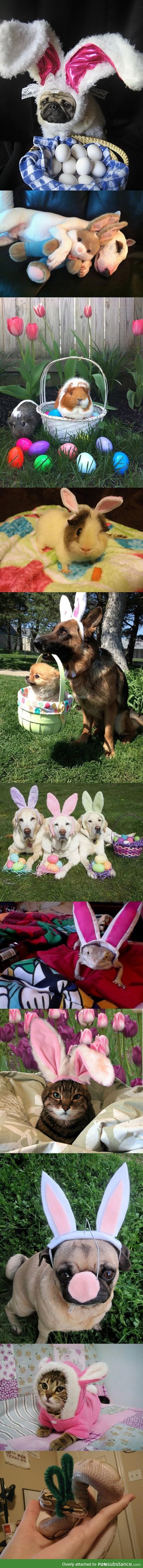 Is it Easter yet?