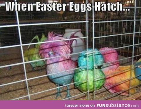 Happy Easter People!