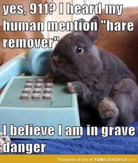 911 bunny call