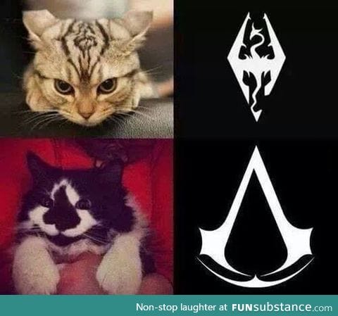 Assassin's cats