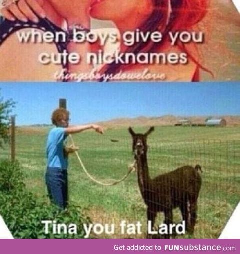 Tina you fat lard cx