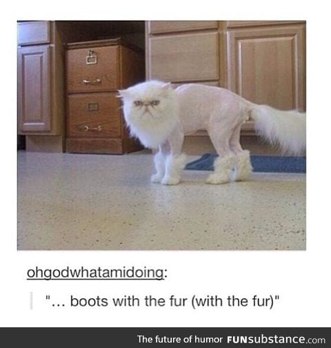 Boots With The Fur (With the Fur)