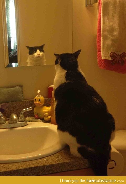 He looked in the mirror and his expression was priceless