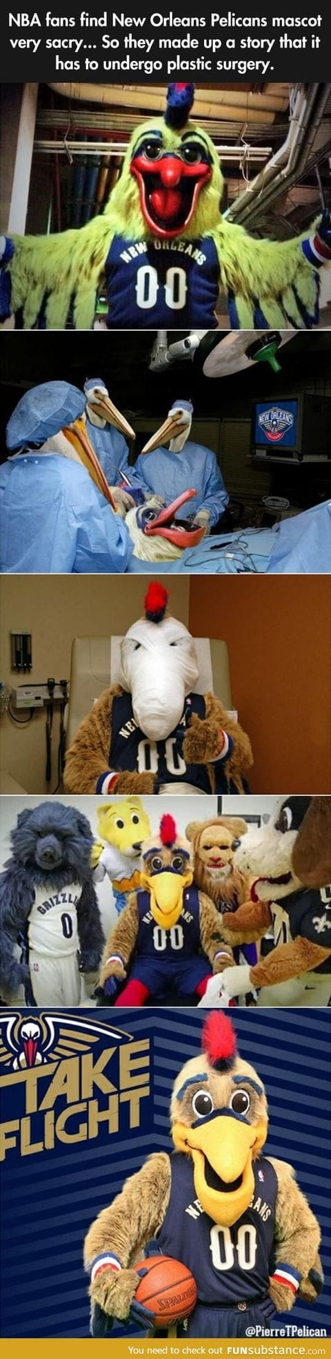 Mascot plastic surgery