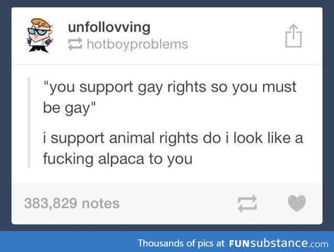 Just because I support gay rights doesn't mean I'm gay