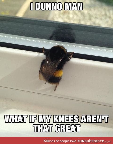 Poor little bee
