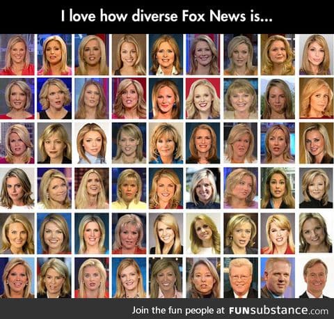 Diversity in Fox News