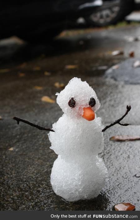 HEADLINE: 1st Snowman created in Florida