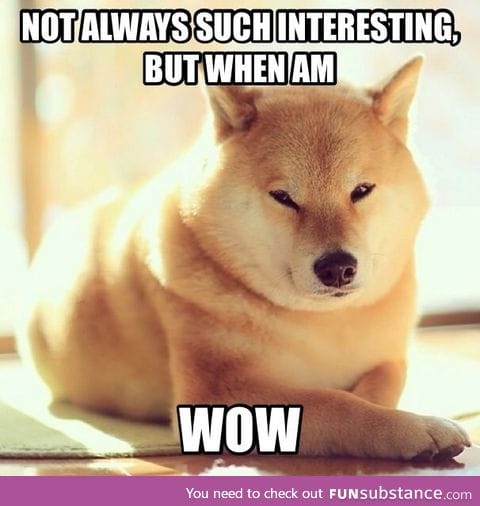 The most interesting shiba in the world