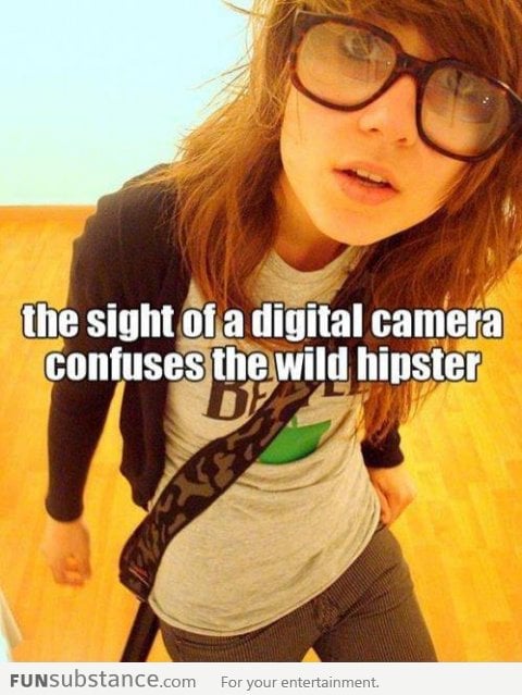 Another wild hipster appears