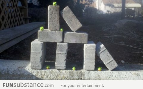 Angry Birds in real life