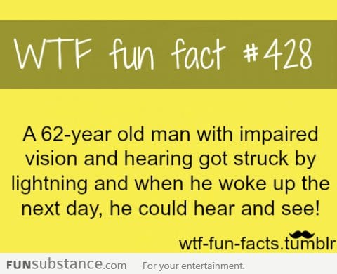 wtf fun facts