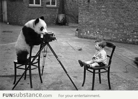 Trust me, I'm a panda