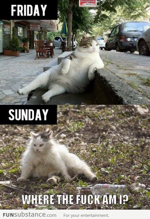 Weekends