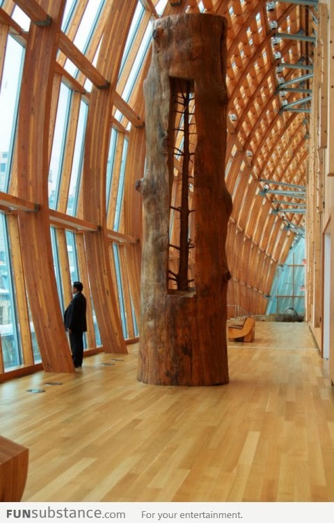 A tree in a tree - A wood art by Giuseppe Penone