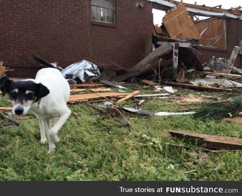 House was destroyed by the tornado, but Chase still made it home afterwards!