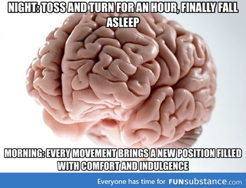 Scumbag Brain every morning