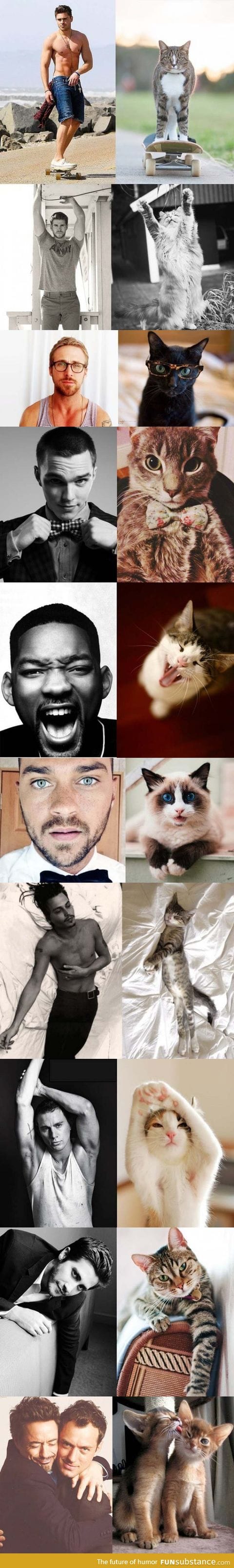 What your favorite actor would look like as a cat...