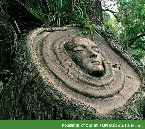 Carved in a forest by Keith Jennings