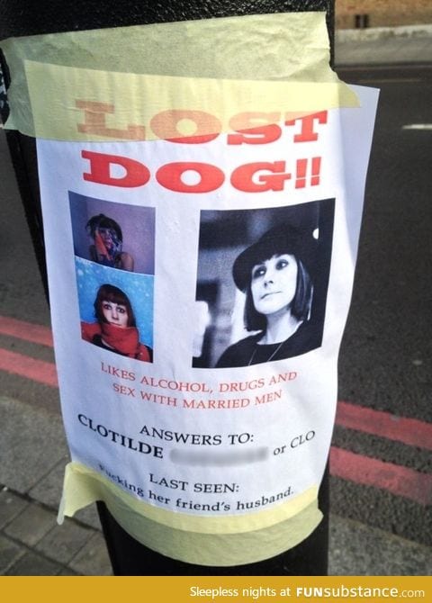 Lost dog!!