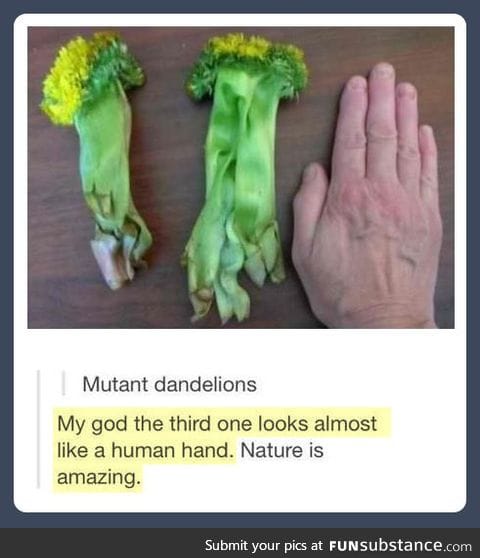 Nature always surprises us