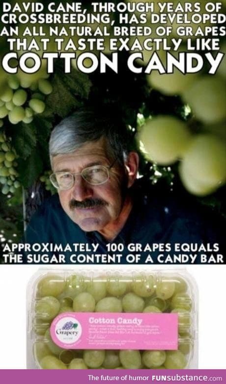 Or for the same price buy grapes and CC