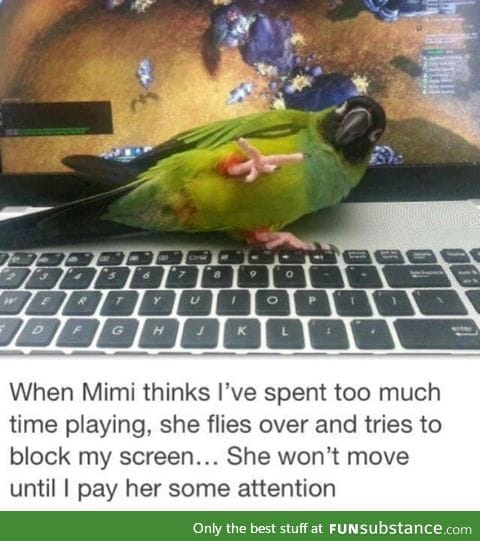 Mimi