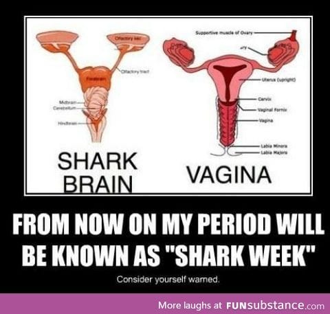 Shark week